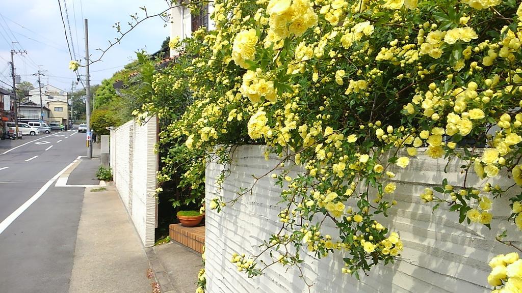 Le Blanc Hotell Kyoto Eksteriør bilde